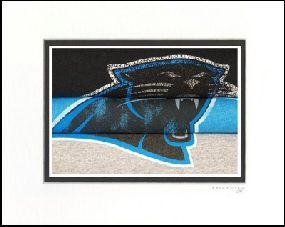 Carolina Panthers Vintage T-Shirt Sports Art